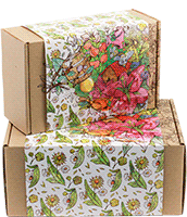 ������������ ���������� �������