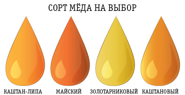 ����� ����� �������������� ��� �������������� ������� �� gorameda.ru